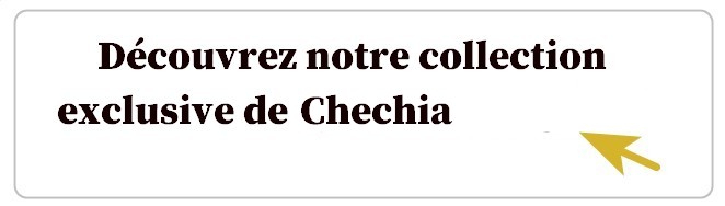 Découvrez notre collection exclusive de Chechia